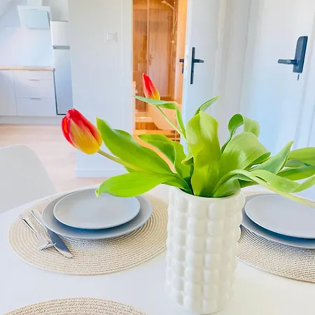 Sopot Modern Apartments 5-3